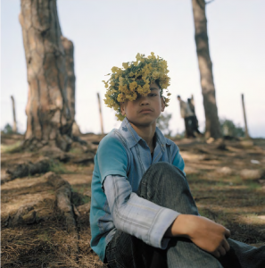 Yto Barrada, « Couronne d’Oxalis, Forêt Perdicaris, Rmilet, Tanger », de la série « Iris Tingitana », 2007, Collection Frac Aquitaine, Photo DR